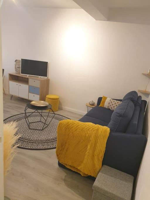 Charmant Studio Avec Place De Parking Нанси Экстерьер фото