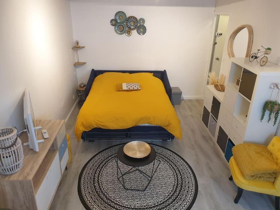 Charmant Studio Avec Place De Parking Нанси Экстерьер фото